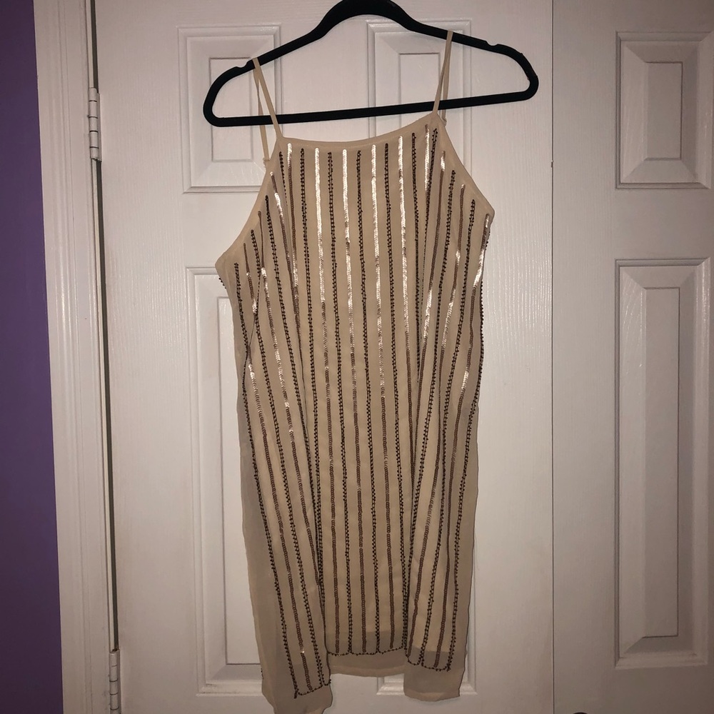 Beige Sequin Shift Dress - Picture 5 of 5